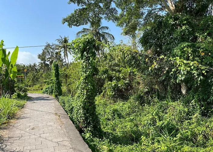 Kaliko *